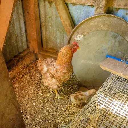 Light House * Kateleios